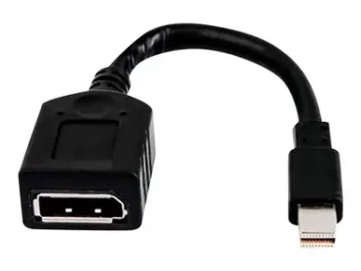 Single miniDP-to-DP Adapter Cable pour HP