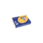 Lot de 5 Ramettes Papier Couleur TROPHÉE A4 80g/m² - 500 Feuilles