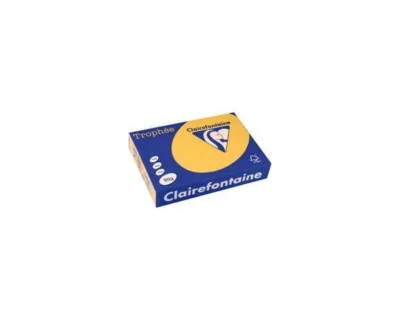 Lot de 5 Ramettes Papier Couleur TROPHÉE A4 80g/m² - 500 Feuilles