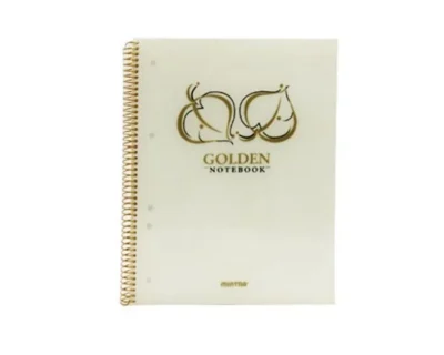 Cahier MINTRA Golden Notebook A4 Spirale dorée - Couverture rigide transparente