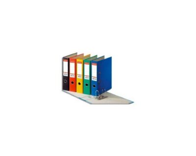 Lot de 6 Classeurs à levier RAINBOW ESSELTE Dos 80 mm Format A4