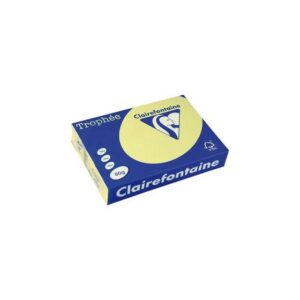 Lot de 5 Ramettes Papier Couleur TROPHÉE A4 80g/m² - 500 Feuilles
