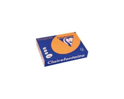 Lot de 5 Ramettes Papier Couleur TROPHEE A4 80g/m² 500 Feuilles