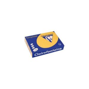 Lot de 5 Ramettes Papier Couleur TROPHÉE A4 80g/m² - 500 Feuilles