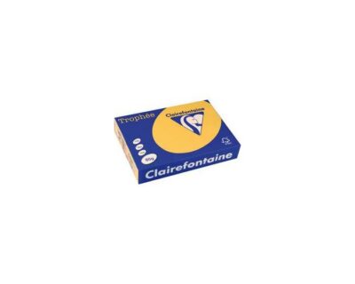 Lot de 5 Ramettes Papier Couleur TROPHÉE A4 80g/m² - 500 Feuilles