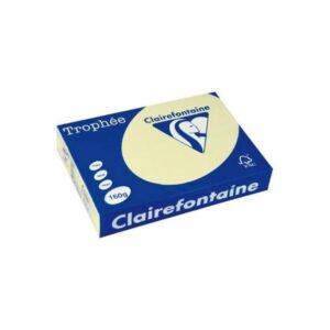 Lot de 5 Ramettes Papier Couleur TROPHÉE A4 80g/m² - 500 Feuilles