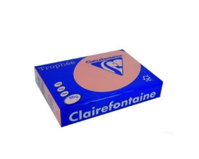 Lot de 5 Ramettes Papier Couleur TROPHEE A4 80g/m² 500 Feuilles