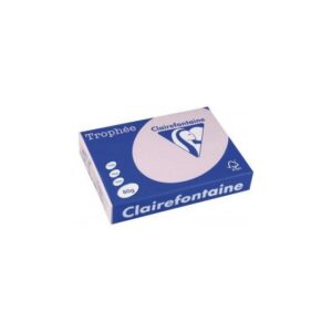 Lot de 5 Ramettes Papier Couleur TROPHÉE A4 80g/m² - 500 Feuilles