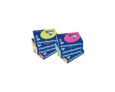 Lot de 5 Ramettes Papier Couleur TROPHEE A4 80g/m² 500 Feuilles