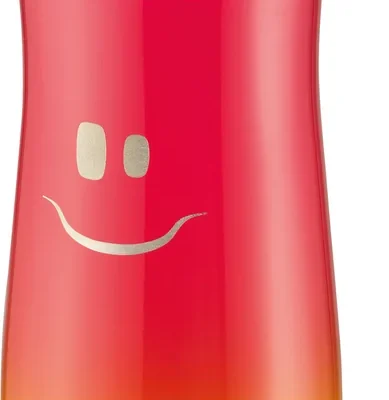 Gourde 430 ml Rouge Concept Acier Inox Réf 871201 PicNik Map