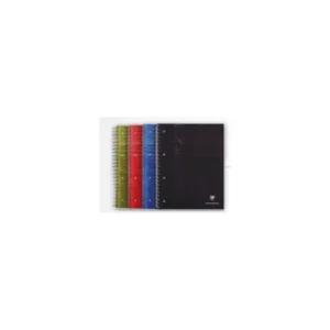 Lot de 5 cahiers à spirales Bind'O Block 240 pages perforés 4 trous 22,5x29,7cm