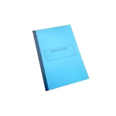 Lot de 5 Manifolds Banque 21x32 cm - 100 feuilles doubles