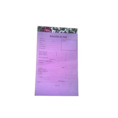 Lot de 5 manifolds Bulletin de paie 19x12,5 cm - 100 feuilles
