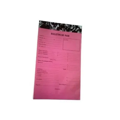 Lot de 5 Manifolds Bulletin de Paie 19x12,5 cm - 50 Feuilles