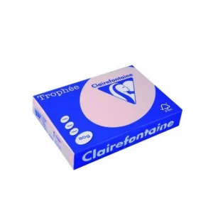 Lot de 5 Ramettes Papier Couleur TROPHEE A4 80g/m² 500 Feuilles