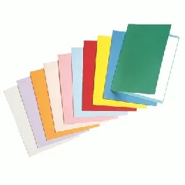 Paquet de 100 chemises cartonnées SAFRIDOS 240g/m² Coloris au choix