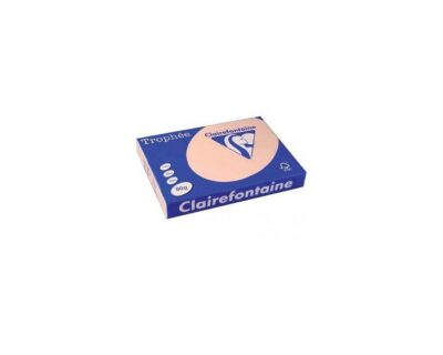 Lot de 5 Ramettes Papier Couleur TROPHEE A3 80g/m² 500 Feuilles - 41 Teintes
