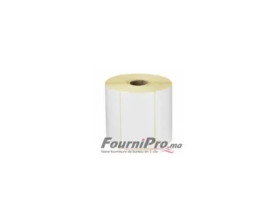 Étiquettes thermiques 100x60 mm - Rouleau de 1000 unités