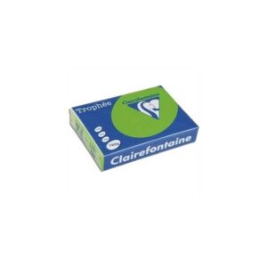 Lot de 5 Ramettes Papier Couleur TROPHEE A3 80g/m² 500 Feuilles - 41 Teintes
