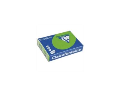 Lot de 5 Ramettes Papier Couleur TROPHEE A3 80g/m² 500 Feuilles - 41 Teintes