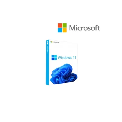 Win Pro 11 64Bit French 1pk DSP OEI DVD